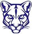 Cotton Indian Elementary